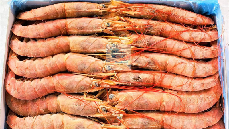 argentina shrimp products