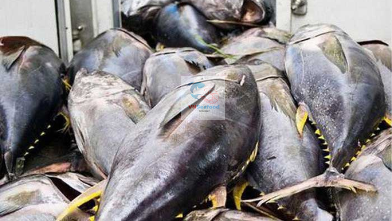 tuna import from vietnam 2