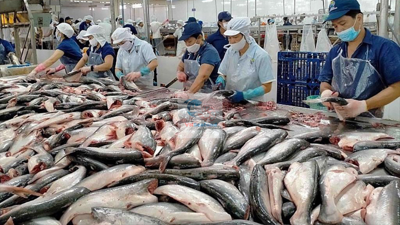 best vietnam pangasius factory