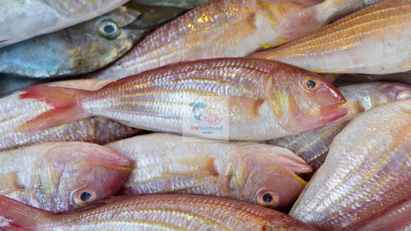 threadfin bream fish