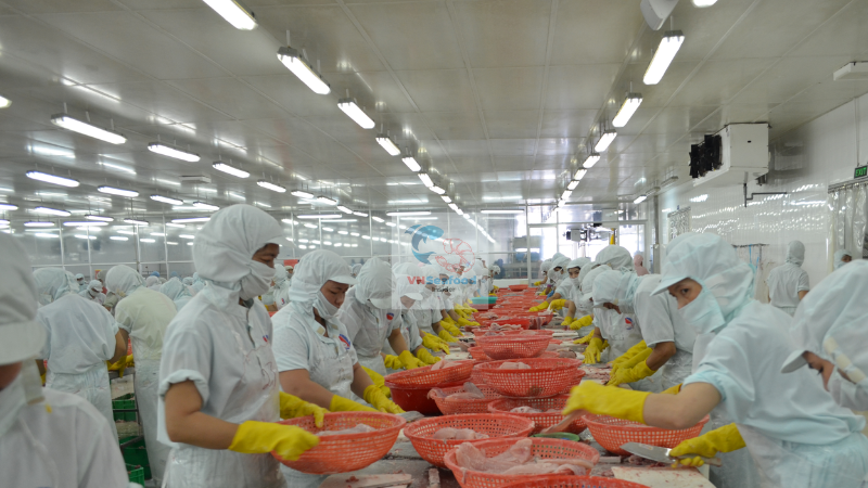 frozen threadfin bream factory