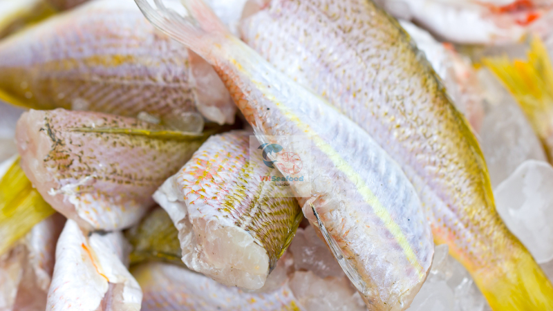 golden threadfin bream specification