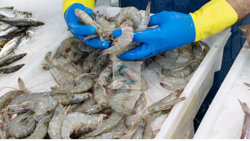 Vietnam Shrimp Antidumping Duty