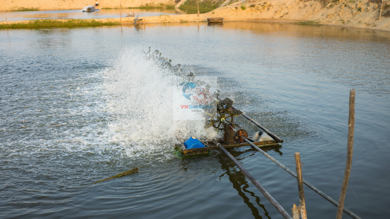 vietnam shrimp farms