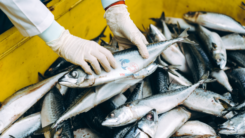 vietnam seafood export data
