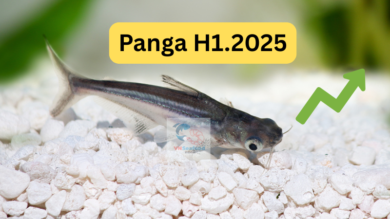 Vietnam Pangasius Export