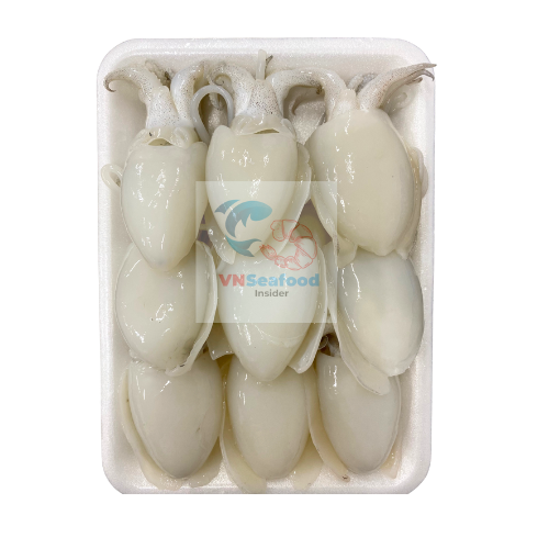 Frozen Whole Cleaned Baby Cuttlefish