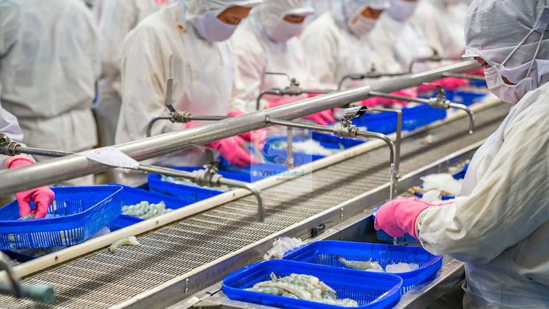 vietnam shrimp factory