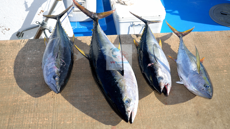 Tuna export H1.2025
