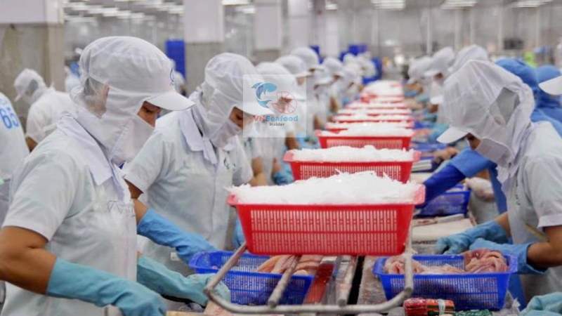 Brazil pangasius market