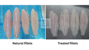 seafood quality control vietnam