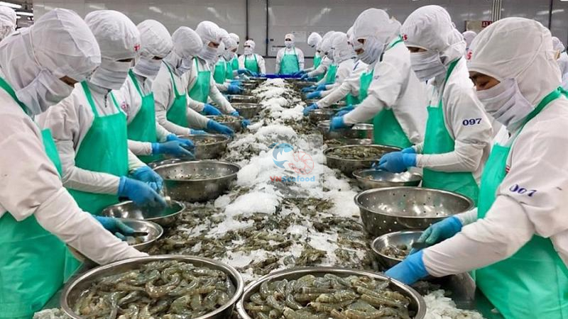 shrimp factory in vietnam