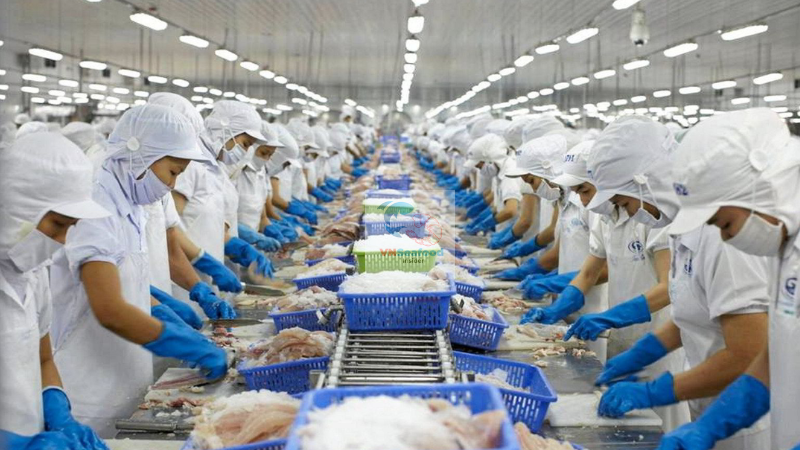 Vietnam pangasius supplier