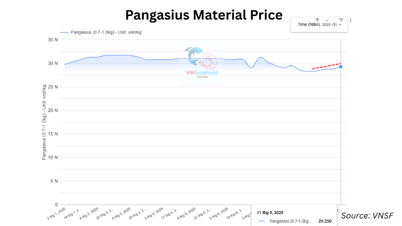 Pangasius export price 2025