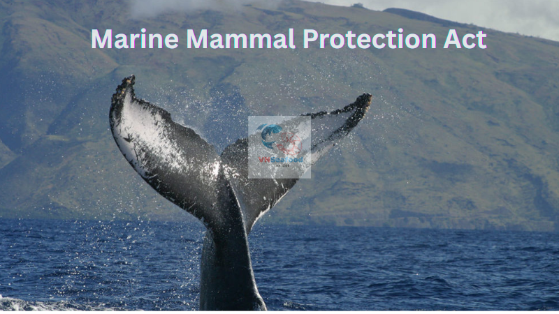 MMPA tuna ban