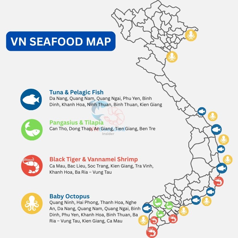 Seafood Map VNSF