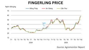 vietnamese pangasius prices