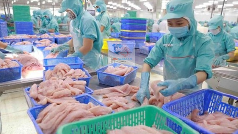 Vietnam pangasius supplier