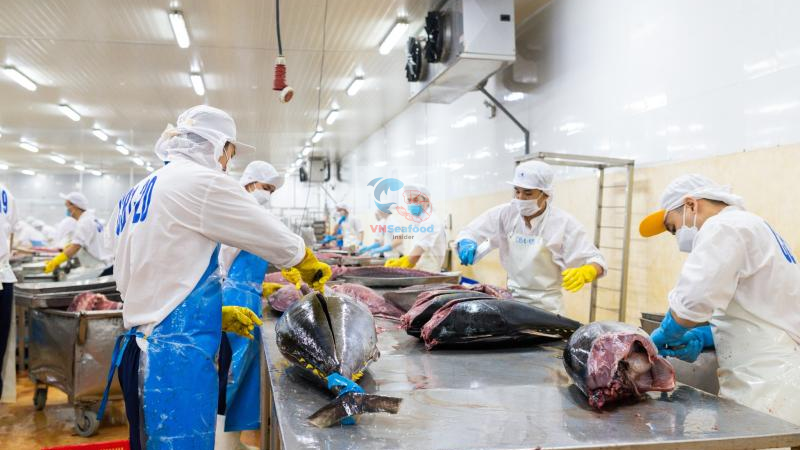 Vietnam tuna processing