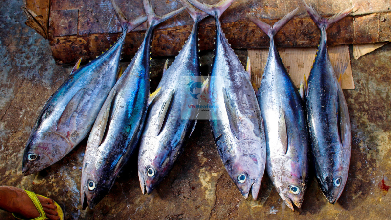 Vietnamese yellowfin tuna