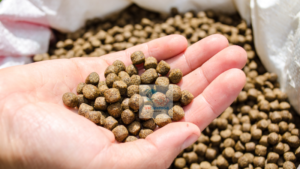 Feed cost impact on cost