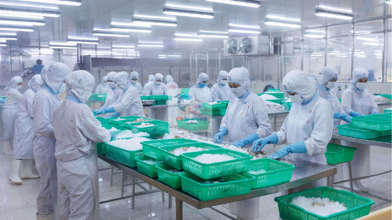 feeds cost in production