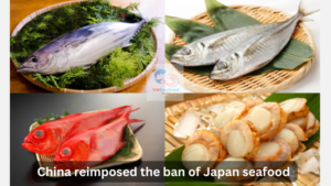 vietnam seafood processing