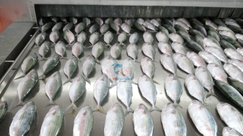 vietnam seafood manufacturing