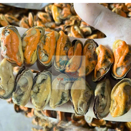 Frozen Mussels