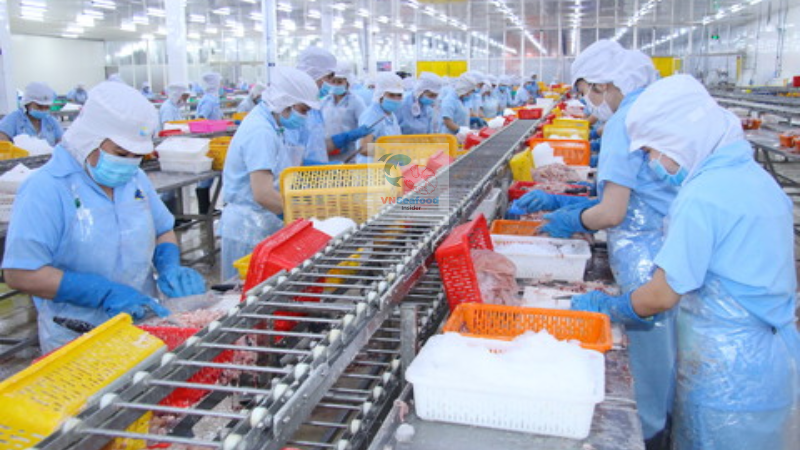 vietnam tilapia factories 