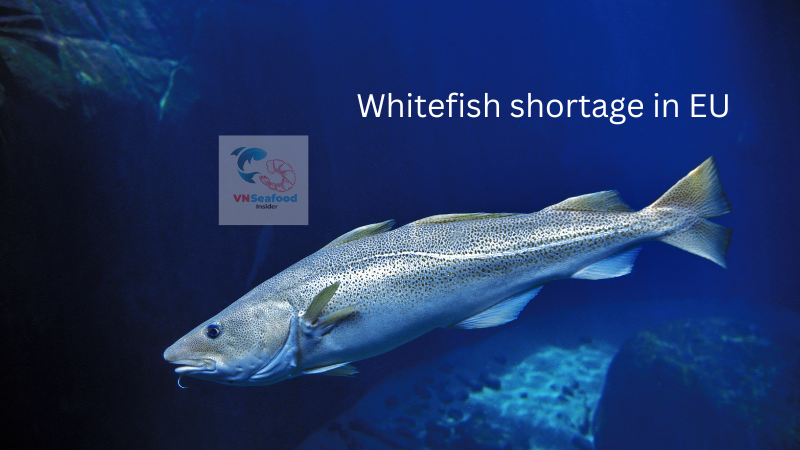 Vietnamese Whitefish Alternatives