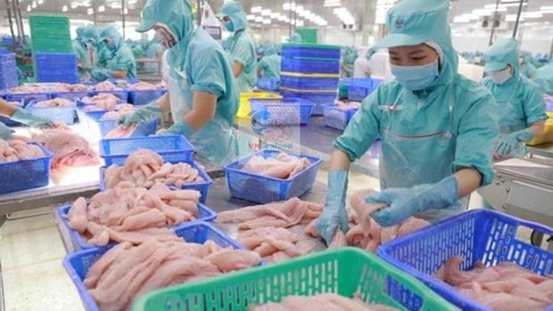 Vietnam pangasius factory high quality