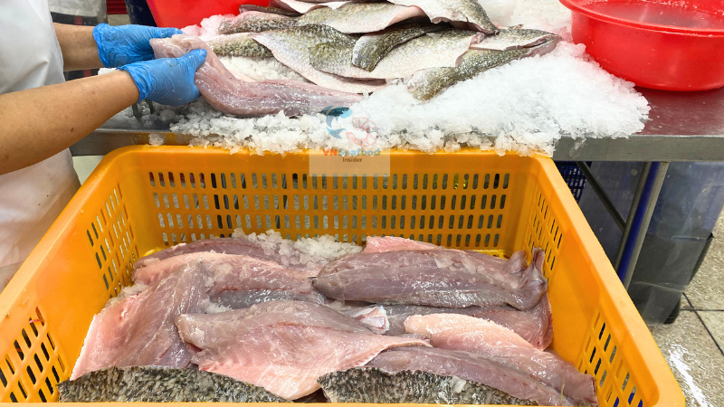 vietnam barramundi factory EU