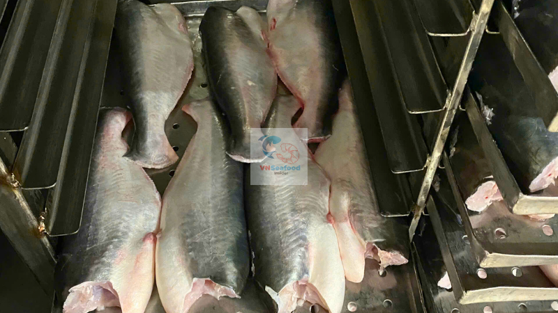 pangasius whole fish