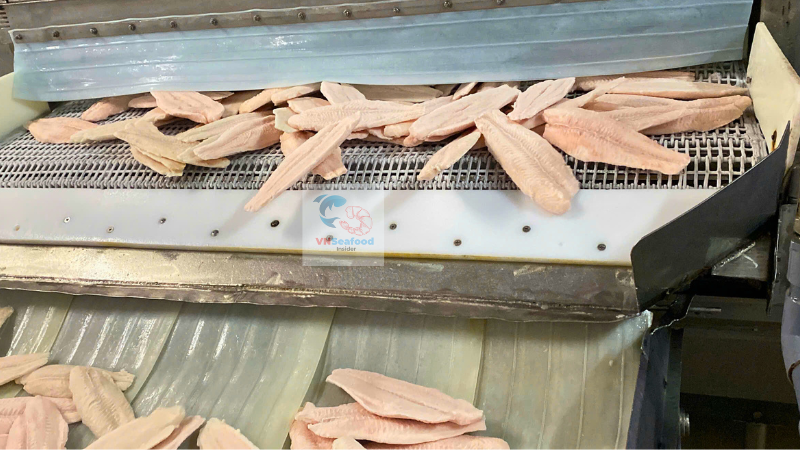 pangasius fillet in freezer