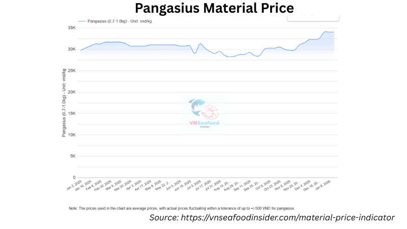 pangasius price update