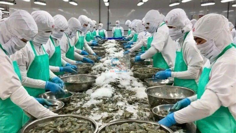 Vietnam shrimp plants