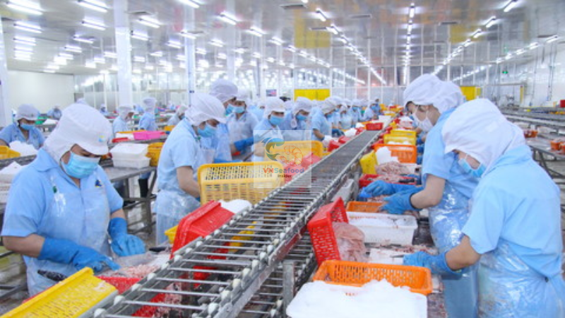 Barramundi factory vietnam
