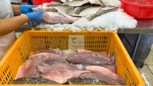vietnam barramundi import guide
