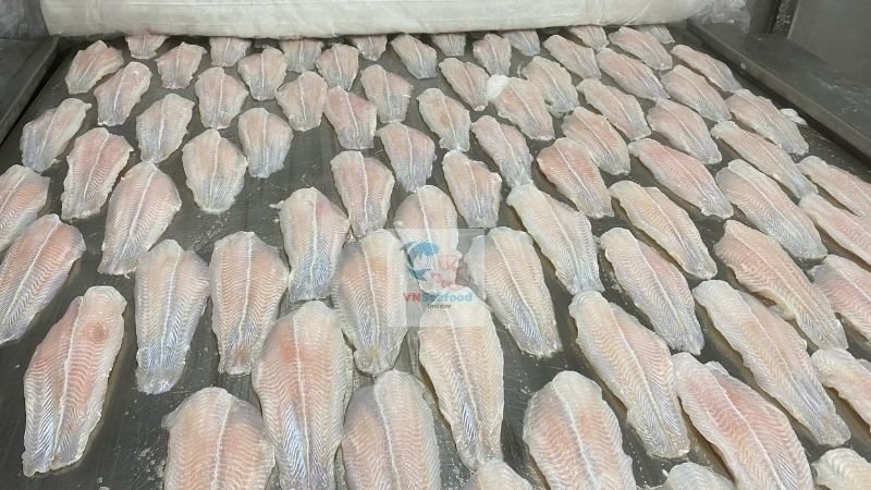 vietnam pangasius factory 2026