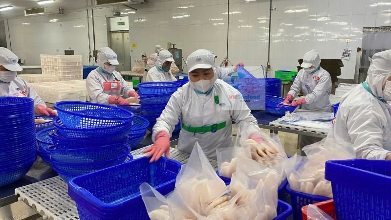 vietnam white fish factory