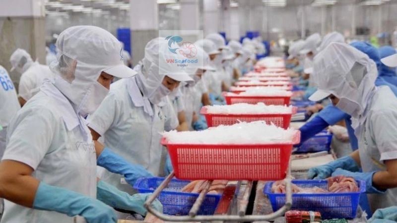 vietnam pangasius supplier