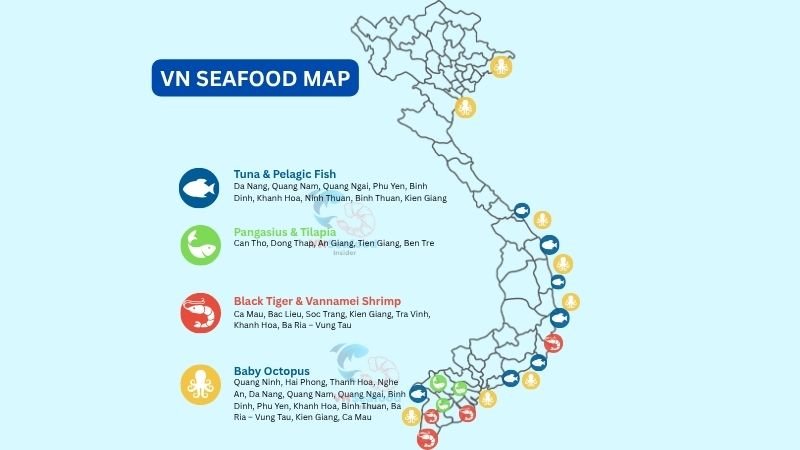 Vietnam seafood export import guide