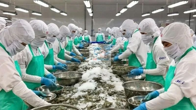 vietnam shrimp factory