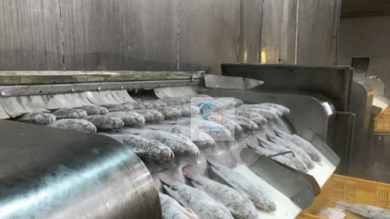 tilapia price trends 3