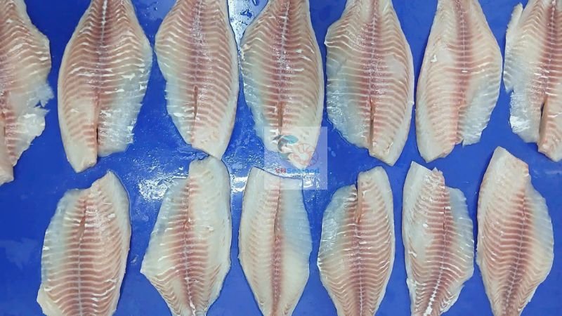 tilapia price trends 2