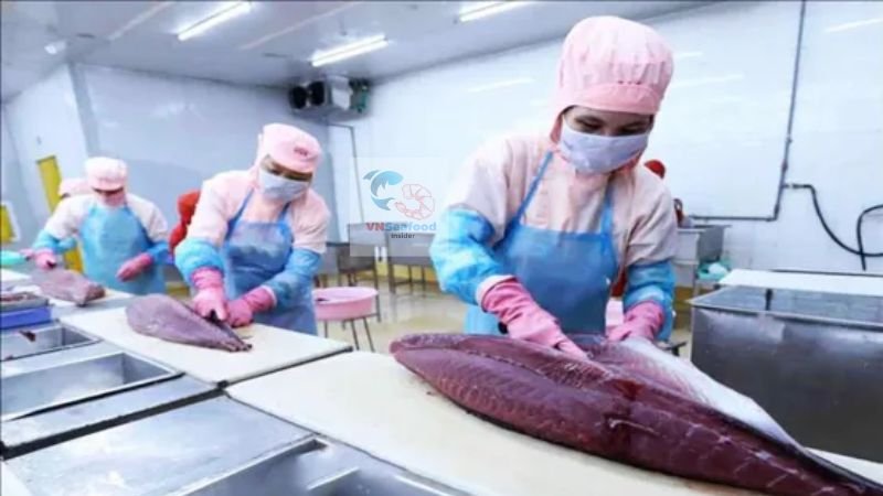 vietnam tuna factory