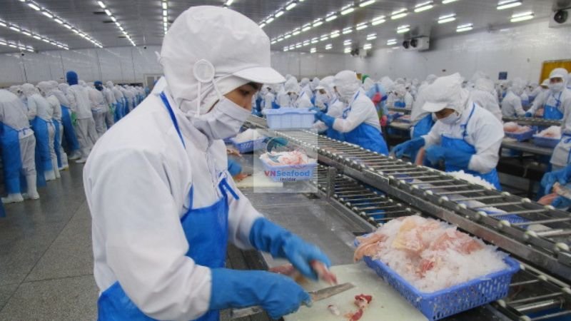 pangasius factory