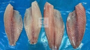 vietnam tilapia fish fillet red meat on