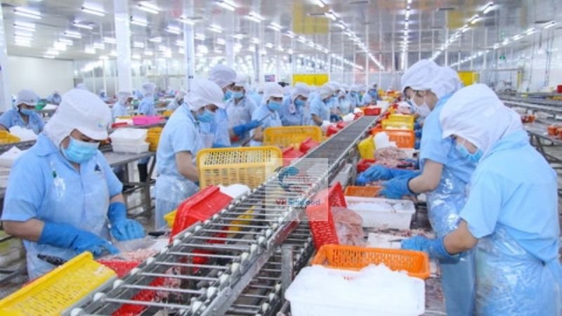 vietnam tilapia fish factory